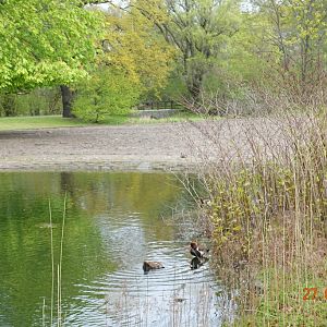 Berlin Tierpark 27.4.16