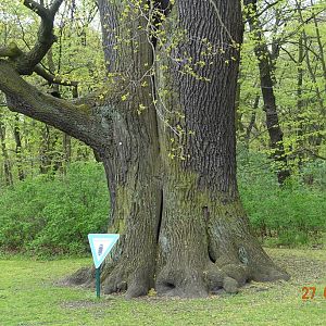Berlin Tierpark 27.4.16