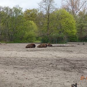 Berlin Tierpark 27.4.16