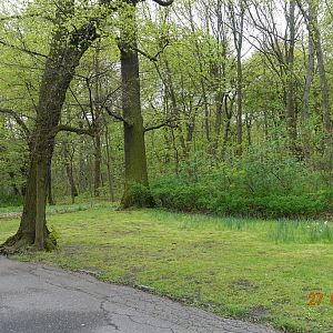 Berlin Tierpark 27.4.16