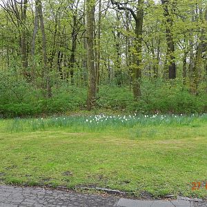 Berlin Tierpark 27.4.16