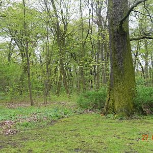 Berlin Tierpark 27.4.16