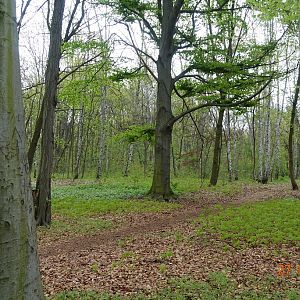 Berlin Tierpark 27.4.16