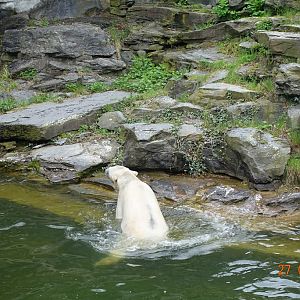 Berlin Tierpark 27.4.16