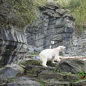 Berlin Tierpark 27.4.16