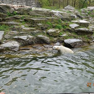 Berlin Tierpark 27.4.16