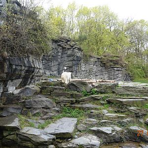 Berlin Tierpark 27.4.16
