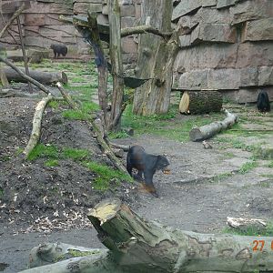 Berlin Tierpark 27.4.16