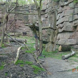 Berlin Tierpark 27.4.16