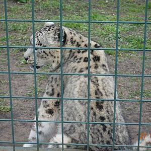 Berlin Tierpark 27.4.16