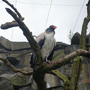 Berlin Tierpark 27.4.16