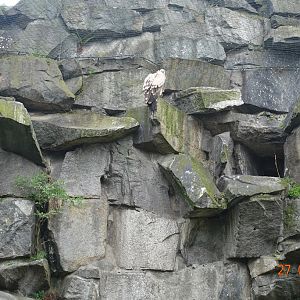 Berlin Tierpark 27.4.16