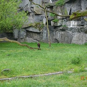 Berlin Tierpark 27.4.16