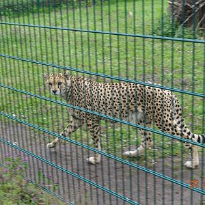 Berlin Tierpark 27.4.16