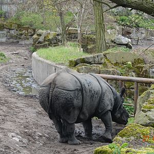 Berlin Tierpark 27.4.16