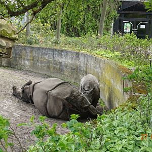 Berlin Tierpark 27.4.16