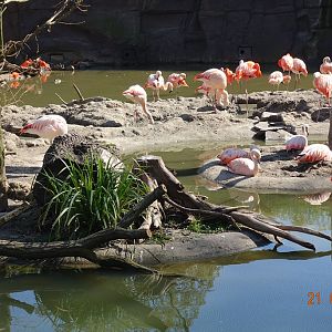 Zoo Leipzig 21.4.16