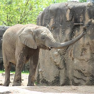 May. 2016 - Plains - Nyah