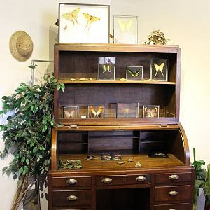 Cabinet with butterflies
