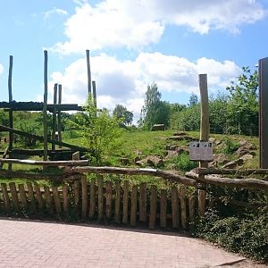 Bear - Jackal enclosure