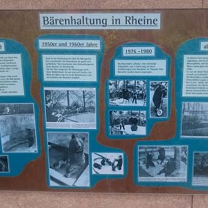 History of bear-keeping at Rheine