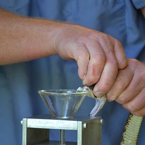 Kentucky Reptile Zoo