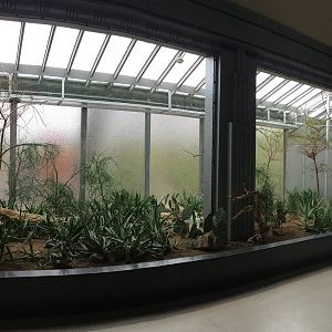 New desert bird exhibit in Feathers And Scales Building