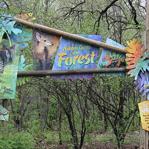 New colorful entrance to Habitat Africa! The Forest