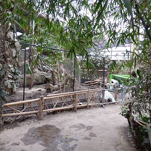 Construction work on former hornbill aviary in Elephant house