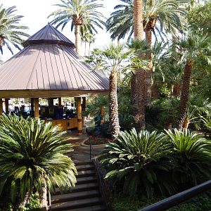 3/8/2016 - View Towards the Mirage Pool