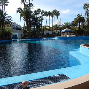 3/8/2016 - First Bottlenose Dolphin Pool