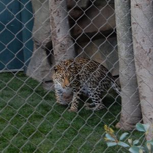 3/8/2016 - Something's Got My Attention