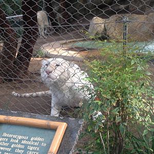 3/8/2016 - I Got My Eyes on You!