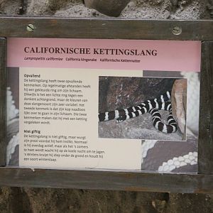 Sign California kingsnake