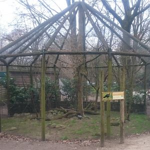 Media 'Aviary Touraco and Starling' in category 'Safaripark Beekse Bergen'