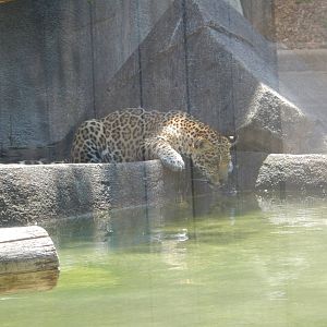 5/21/2015 - Gone Fishing