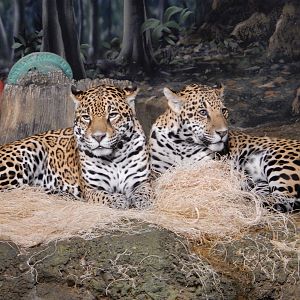 7/18/2015 - Mother and Son