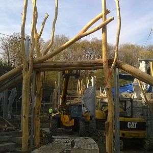 Rosebrough Tiger Passage - Construction Progress