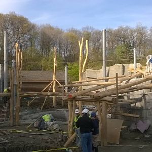 Rosebrough Tiger Passage - Construction Progress