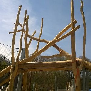 Rosebrough Tiger Passage - Construction Progress