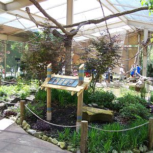 Zambezi River Hippo Camp