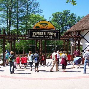 Zambezi River Hippo Camp