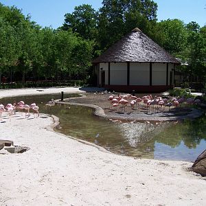 Zambezi River Hippo Camp