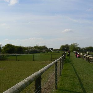 View of Some of the Paddocks - 5 May 2015