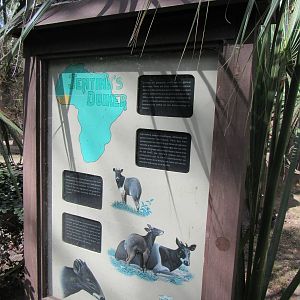 Still here in memory...