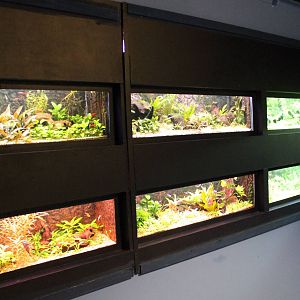Aquariums for small fishes