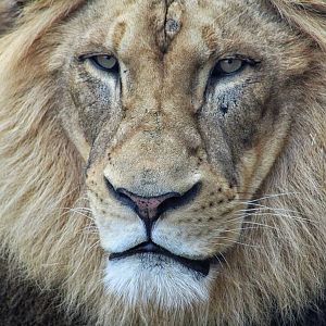 May. 2016 - Africa - John