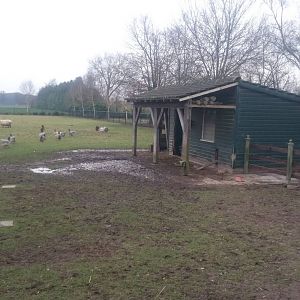 Enclosure and stable