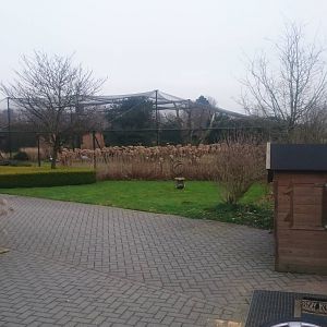 The large aviary