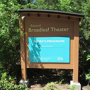 Broadleaf Theater Sign (New in 2016)